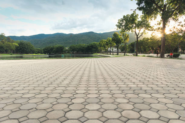 Best Professional Driveway Pavers  in Washington, IA